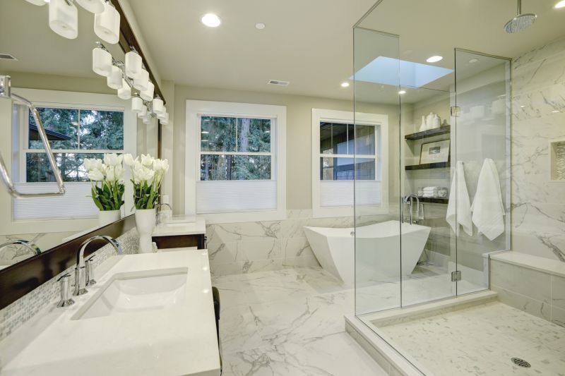 Elegant Shower and Tub Combination